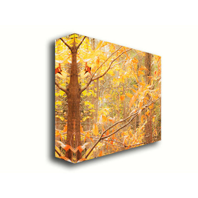 «Fall in the Forest» par Hal Halli. Estampe numérique