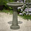 The Essential Birdbath-13918336