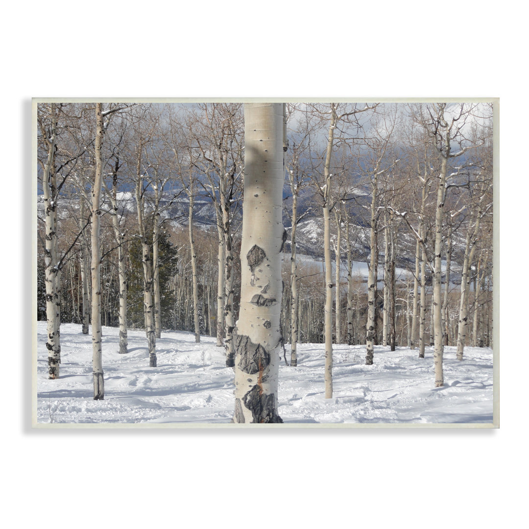 " Winter Birches " Union Rustic