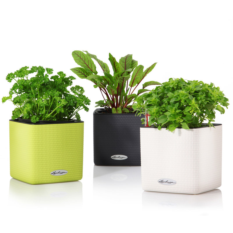 Cube Pot Planter, Lime Green