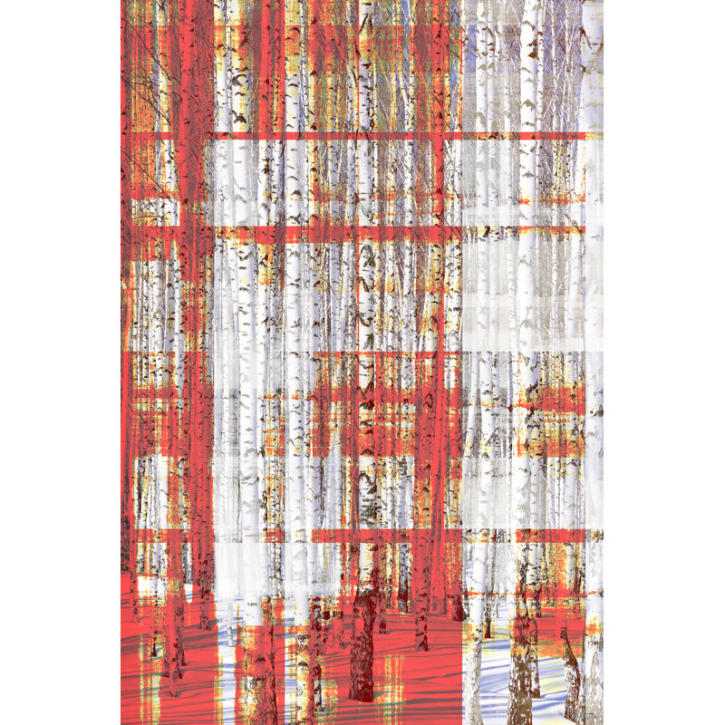 Parvez Taj - Wrapped Canvas Print, 61cm H x 41cm W