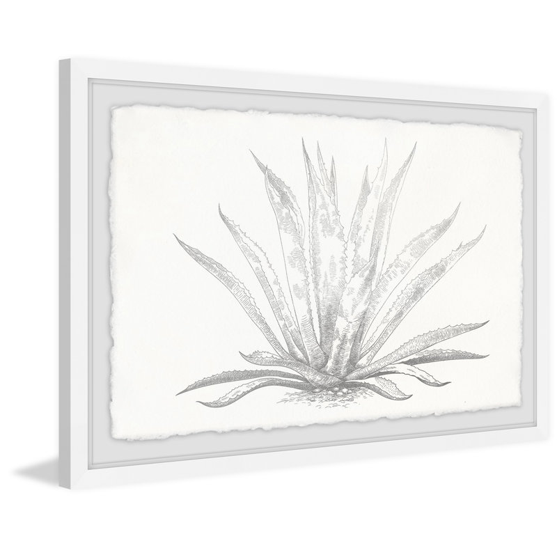 Single Picture Frame Print, 61cm H x 91cm W x 3.81cm D