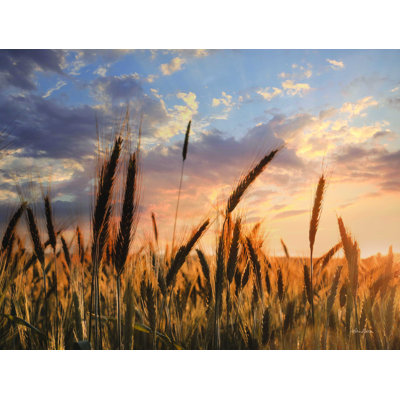 «Summer Field» par Lori Deiter - reproduction d'art sur toile tendue