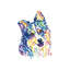«Australian Shepherd» par Lisa Whitehouse - impression d'art graphique-52541578-52541579-52541585