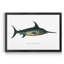 «Common Sword Fish», impression sur toile encadrée-791251561-791251555