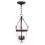 Luminaire suspendu simple urne Husman-16518423-16518418