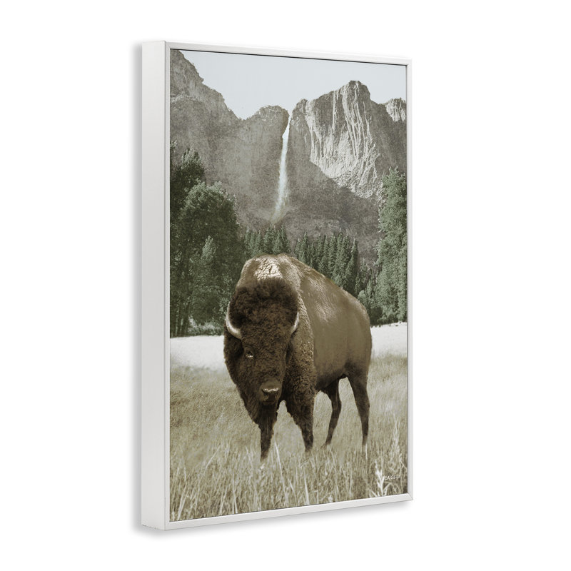 Bison et paysage de montagne, estampe numérique par Dan Meneely, Giclée encadrée blanc bord de mer, H 18 po x l 12 po