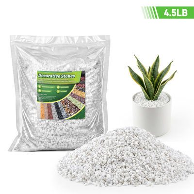 4.5lb White Cactus Pea Gravel Rocks