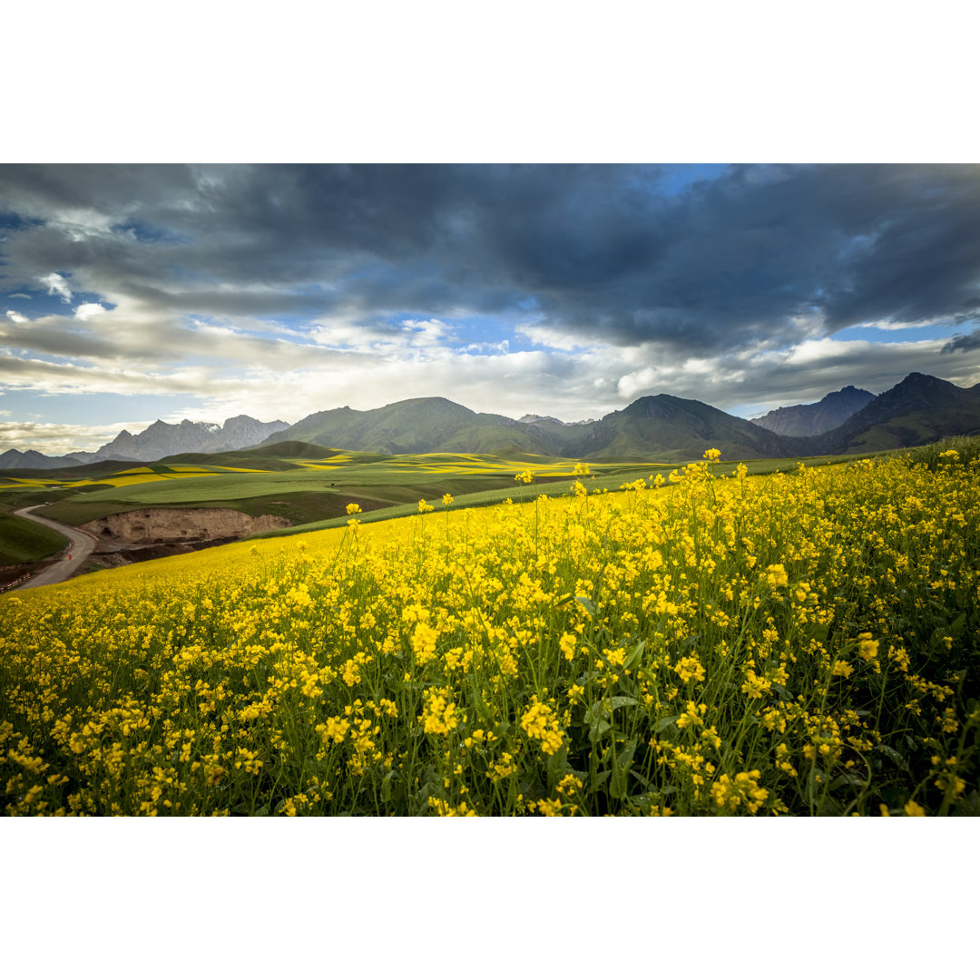 Country Road von Chinaface - Kunstdrucke auf Leinwand - Wrapped Canvas