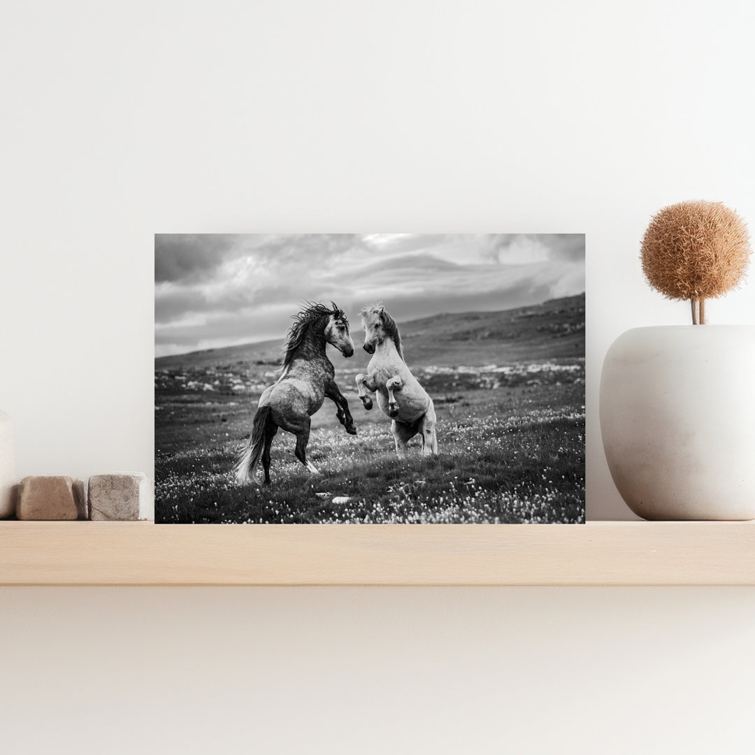 Wild Horses Rearing Dramatic Contemporary Horse Nature Wildlife Wall Art Print