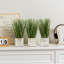 Indoor 3 Piece Artificial Green Grass Plants in Wood Pot