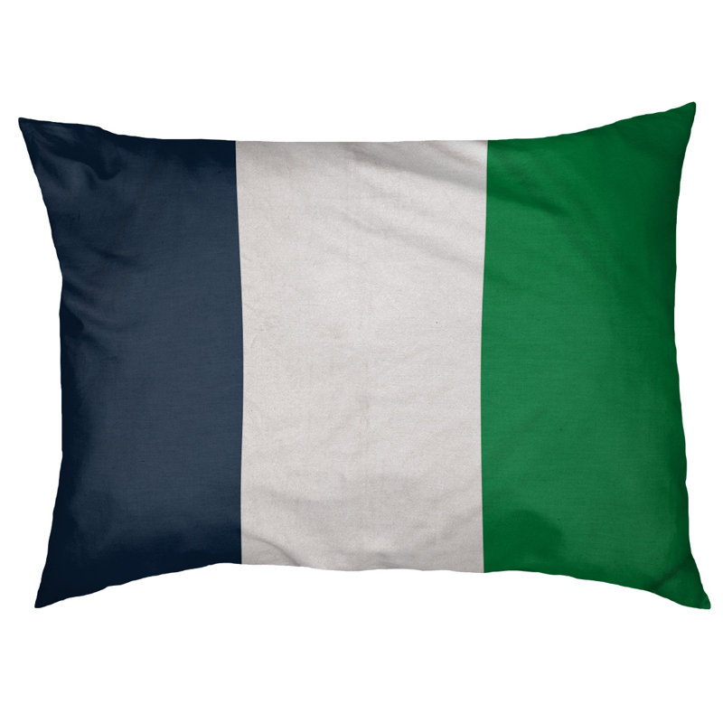 Coussin Golden State, Grand (l 40 po x P 30 po x H 6,5 po), Bleu / vert