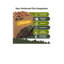Allume-feu Fatwood - 100% naturel - 28 lb