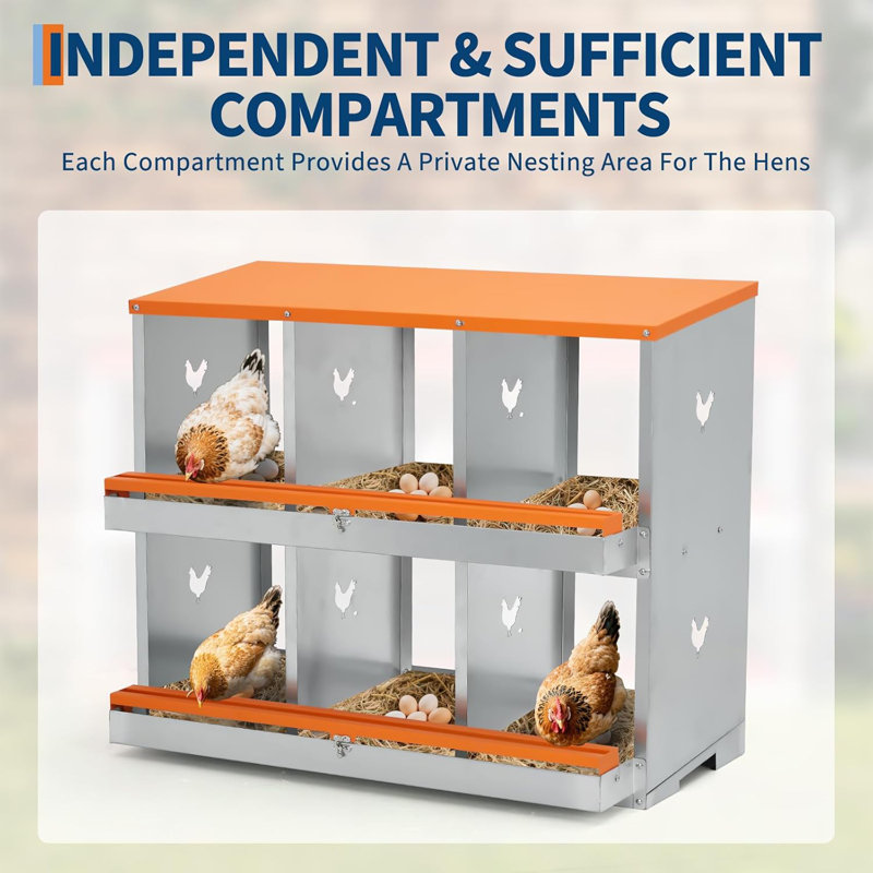 Boîtes gigognes à 6 compartiments, boîtes à œufs pour poules, boîtes à poules pour recueillir les œufs, Orange