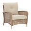 Ensemble de 2 chaises longues Braylee