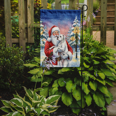 Boxer blanc avec drapeau du père Noël