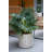Mosley 2-Piece Planter Set-1509251171