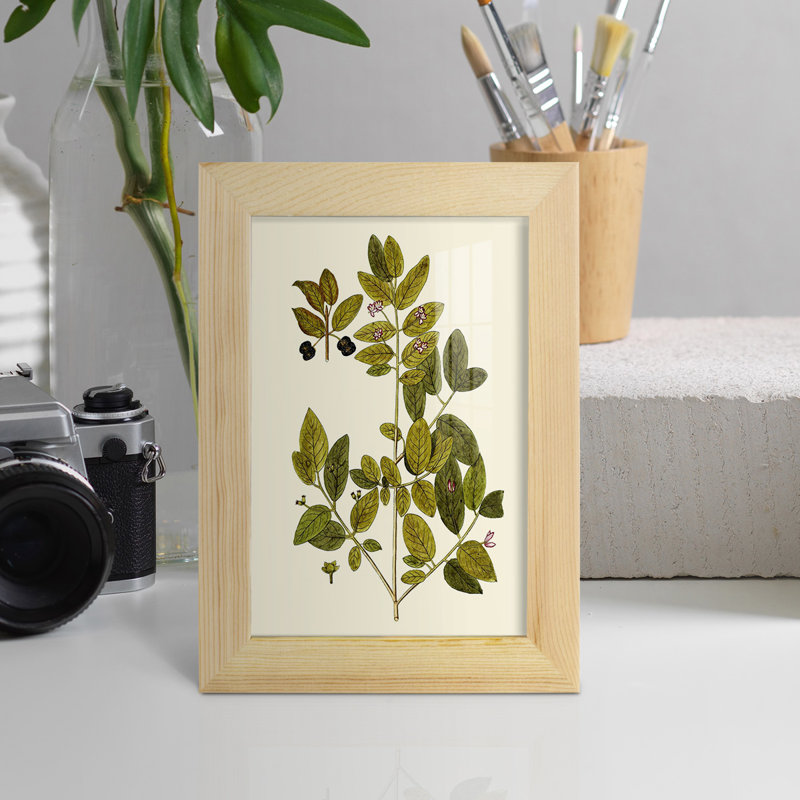 Olive Greenery VII, reproduction d'art encadrée, H 9 po x l 7 po x P 1 po, Naturel