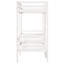 Albertine Loft Bed Bed Frame with Trundle Included-604833312-604833318