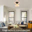 1 - Light Chandelier