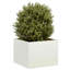 Planter-1920376240-1937852853