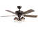 Ceiling Fan