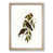 Oak Framed selected