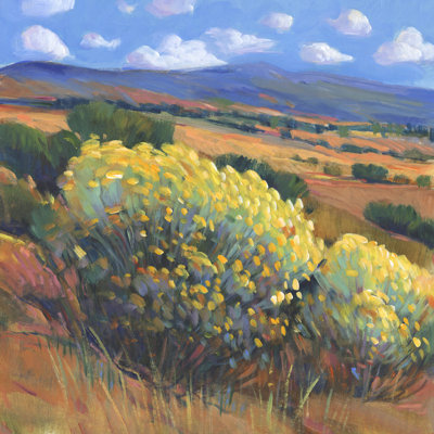 «Chamisa I» par Timothy O 'Toole - peinture sur toile tendue