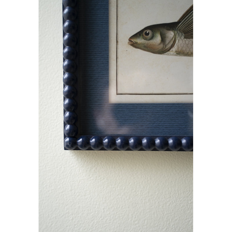 ENSEMBLE DE DEUX IMPRIMES DE POISSON À CADRE BLEU SOUS VERRE