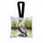 Brown Pelican 7437