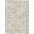 Machine Washable Indoor/Outdoor Chayden ACN1040 Rug-227070642