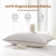 Down Blend Medium Support Pillow (Set of 2)