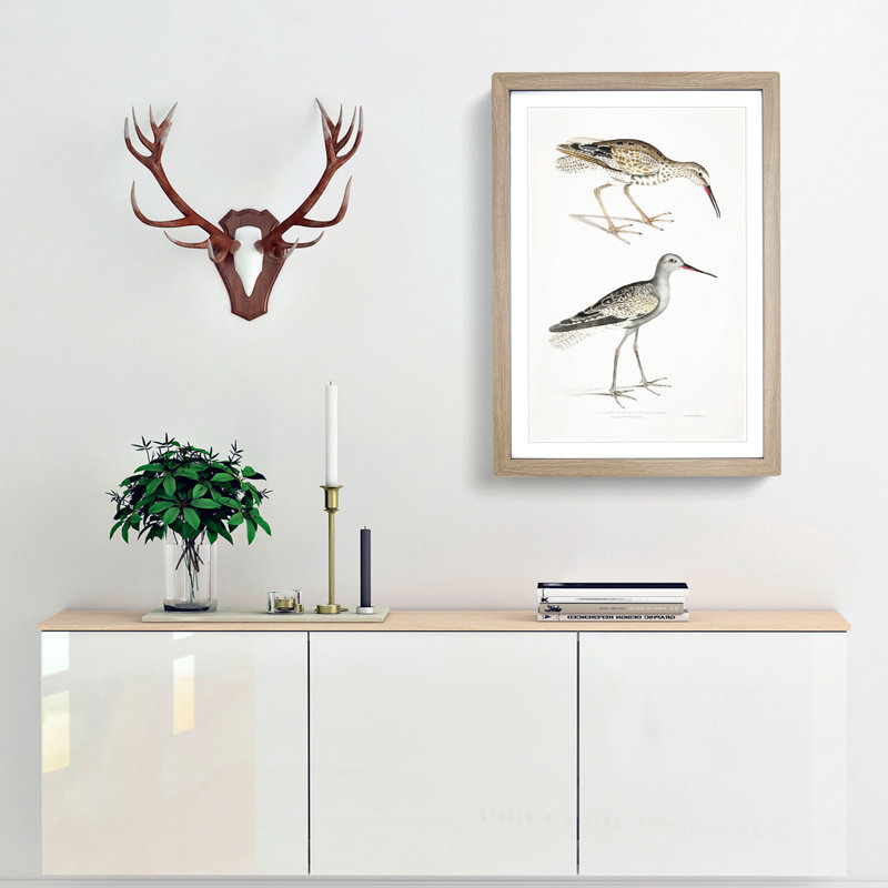 Snipe Bird Illustrations by John Edward Gray - Picture Frame Painting Print, 65cm H x 48cm W x 2cm D, Oak Framed