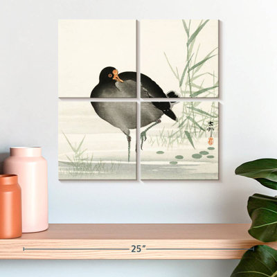 Brampt Moorhen