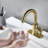 Single-handle Bathroom Faucet with Drain Assembly-93816111