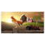«Country Farm Morning», impression-29496659-35112013