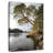 Harnek Arbutus Tree By The Waters-106965260
