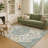 Machine Washable Indoor/Outdoor Chantille ACN2463 Traditional Rug-2027635565-2027635575