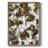 Fireworks Framed Print - Solid Wood-669761477