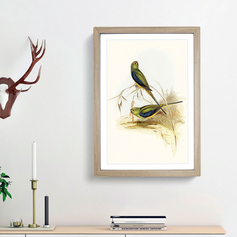 Blue Banded Grass Parakeets by Elizabeth Gould - Picture Frame Painting Print, Oak Framed, 36cm H x 27cm W x 2cm D