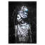 Art mural en verre trempé sans cadre "Woman Native Rhinestones" - 40 "x 60"