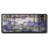 Water Lilies- Framed Canvas