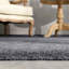 Abria Soft Fluffy Grey Indoor / Outdoor Living Room Area Rug-1808186200