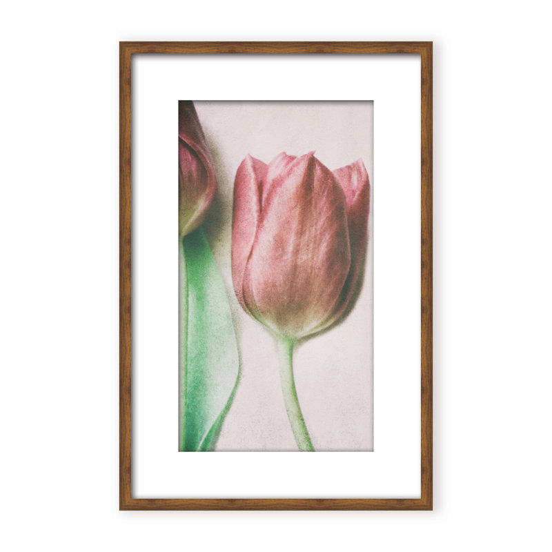 Nature Inspired The Spring Lovers by  - Picture Frame Graphic Art on Paper, 24" H x 16" W x 1.125" D, Framed Matted Print