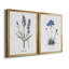 Lavande - ensemble de 2 reproductions d'impressions-467967550-467967537-467967545