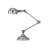 Pandorea Metal Desk Lamp
