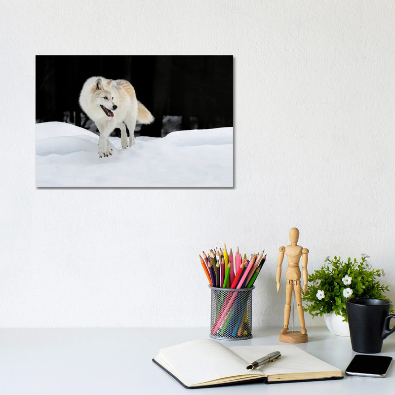 Out of the Dark 1 Piece Wrapped Canvas Wall Art, 20.32 cm H x 30.48 cm W