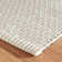 Finn Platinum Handwoven Indoor/Outdoor Rug