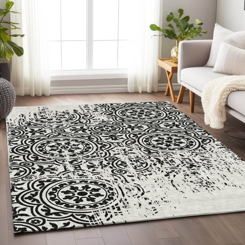 Premium Machine Washable Prisco Black Rug, Rectangle 3' x 5'
