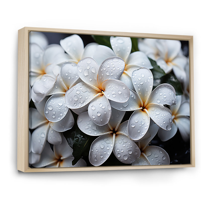 Plumeria pluvieux paradis sur toile, Cadre flottant naturel, H 24 po x l 32 po x P 1 po